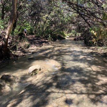 Emma Long Park Turkey Creek Trail - Hiking Near Me - Austin, Texas