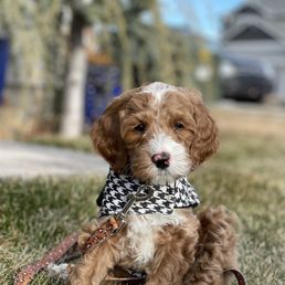 This is Theodore! Born on Christmas Eve! This is Theodore! Born on Christmas Eve!