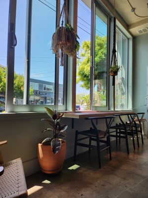 Red Bay Coffee by null