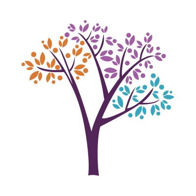 Tierra Encantada - Minnetonka - childcare center in Minnetonka, MN