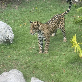 Xcaret Park - Amusement Parks Near Me - Playa del Carmen, ROO
