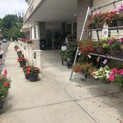 Stop & Shop - Monroe S&S has beautiful flowers and plants. They look great with a large selection.