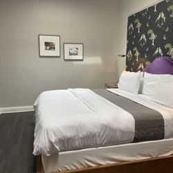 Wicker Park Inn - First bedroom, modern, spacious, comfy with skylights!