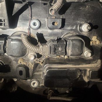 Francis Collision Centre - Car was there month got it back rats ate my wires - Body Shops Near Me - Fresno, California