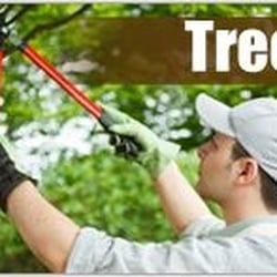 Skyline Tree Services