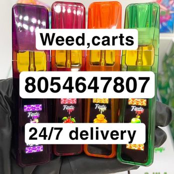 Michelle Briggs, Nurse Practitioner - Cannabis Clinics Near Me - Baltimore, Maryland Michelle Briggs, Nurse Practitioner - Cannabis Clinics Near Me - Baltimore, Maryland
