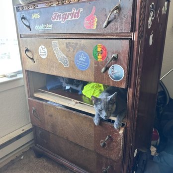 House 21 century - But my cat does not have a hiding spot anymore - Handyman Near Me - San Francisco, California