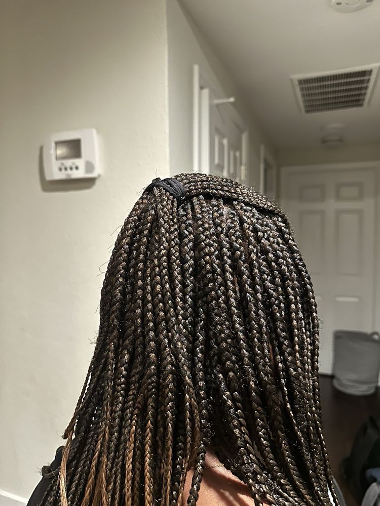 Braids By Rasi Logo