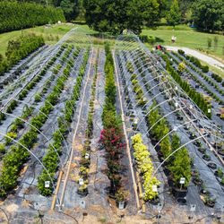 Caney Creek Nursery