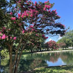 Marshall Park