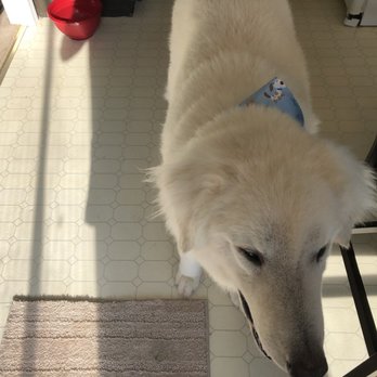 Noble Dog Shoppe & Spa - Pet Groomers Near Me - Howell, Michigan