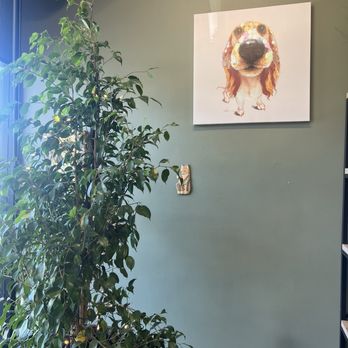 Oasis Pet Spa & Grooming - Pet Groomers Near Me - Fullerton, California