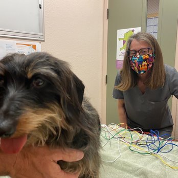 High Valley Veterinary Hospital - Twinkles with Dr Lipman at her first acupuncture appointment. - Veterinarians Near Me - Ramona, California