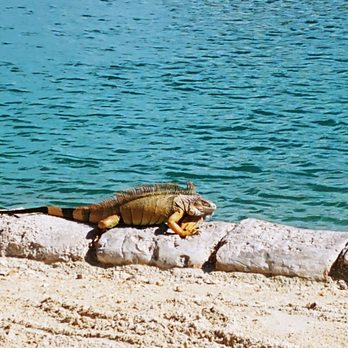 Hawks Cay Resort - Resorts Near Me - Duck Key, Florida Hawks Cay Resort - Resorts Near Me - Duck Key, Florida