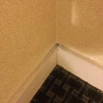 Willows Hotel Chicago - Dirty corner 1 - Hotels Near Me - Chicago, Illinois