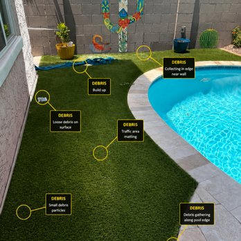 BubbaChubbs Turf Cleaning - Debris from dogs before cleaning. - Artificial Turf Near Me - Cave Creek, Arizona BubbaChubbs Turf Cleaning - Debris from dogs before cleaning. - Artificial Turf Near Me - Cave Creek, Arizona
