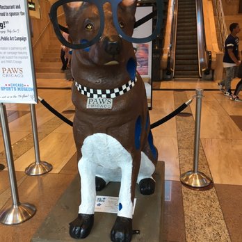 Water Tower Place - These dogs are all over the Magnificent mile including here - Shopping Centers Near Me - Chicago, Illinois Water Tower Place - These dogs are all over the Magnificent mile including here - Shopping Centers Near Me - Chicago, Illinois