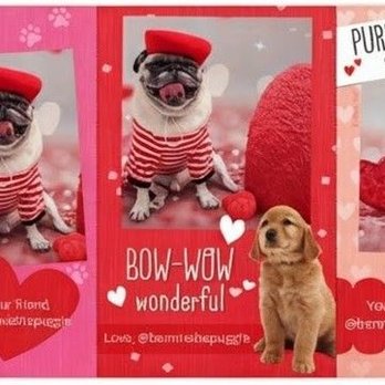 Walmart Supercenter - Cut apart Valentine's Day cards! - Grocery Near Me - Warner Robins, Georgia Walmart Supercenter - Cut apart Valentine's Day cards! - Grocery Near Me - Warner Robins, Georgia
