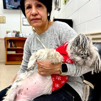 Battlefield Animal Clinic - Treating Thalia to her diarrhea problem today and the staff was attentive, helpful and very kind! - Veterinarians Near Me - Manassas, Virginia Battlefield Animal Clinic - Treating Thalia to her diarrhea problem today and the staff was attentive, helpful and very kind! - Veterinarians Near Me - Manassas, Virginia