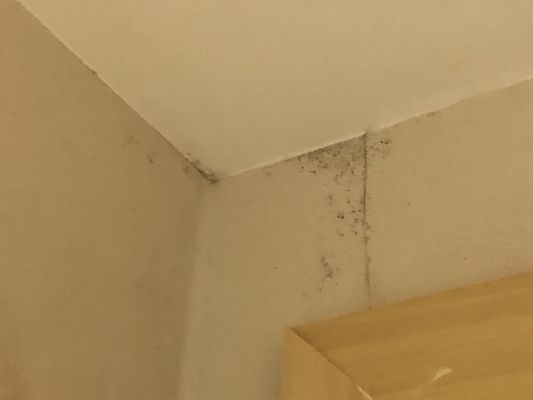 Meliá Paulista by null