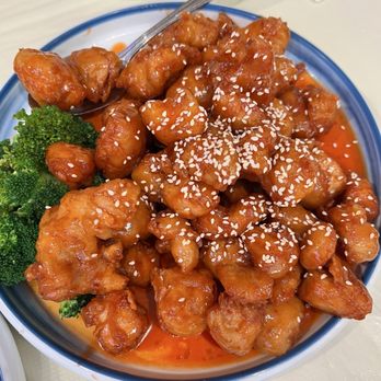 YH Dim Sum - Sesame chicken - excellent!! - Cantonese Near Me - Jacksonville, Florida