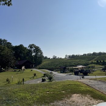 Big Door Vineyards - Beautiful view of the workinf vineyards - Wineries Near Me - White, Georgia