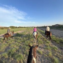 El Paso Valley Trail Rides and Horseback River Rides