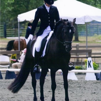 Core Equestrian - Horseback Riding Near Me - Woodside, California Core Equestrian - Horseback Riding Near Me - Woodside, California