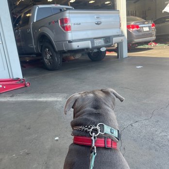 America's Tire - Watching my tires get put on - Tires Near Me - Stockton, California America's Tire - Watching my tires get put on - Tires Near Me - Stockton, California
