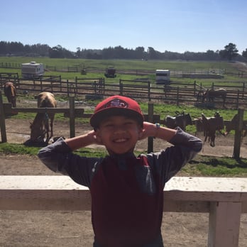 Horse N Around Trail Rides - Waiting for the ride - Horseback Riding Near Me - Bodega, California