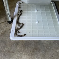 Henkle’s Ace Hardware - For only $13.99, problem solved! I totally recommend Henkle's Ace Hardware in Webb City!!!