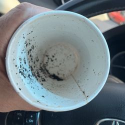 Smoothy Booty Cafe - Coffee grinds