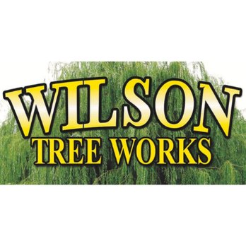 Wilson Tree Works - Tree Services Near Me - Dayton, Nevada Wilson Tree Works - Tree Services Near Me - Dayton, Nevada