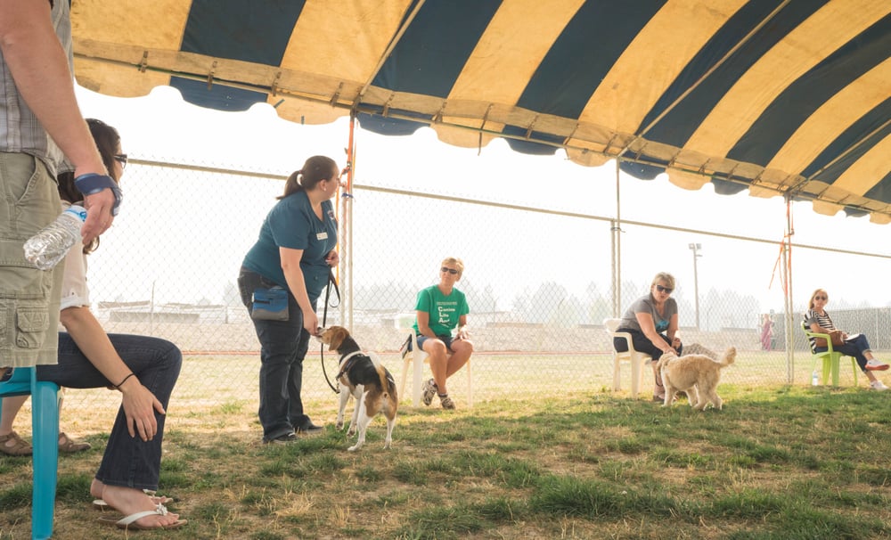 SAFEHAVEN HUMANE SOCIETY Updated June 2024 12 Photos & 12 Reviews 32220 Old Hwy 34