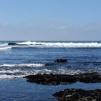 Fitzgerald Marine Reserve - Parks Near Me - Moss Beach, California Fitzgerald Marine Reserve - Parks Near Me - Moss Beach, California