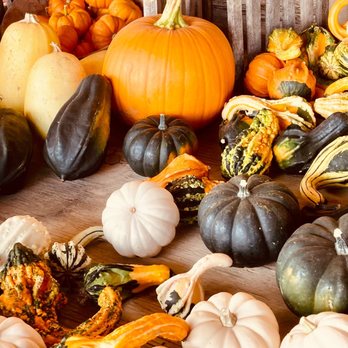Pome on the Range - a variety of squash and gourds - Fruits & Veggies Near Me - Williamsburg, Kansas Pome on the Range - a variety of squash and gourds - Fruits & Veggies Near Me - Williamsburg, Kansas