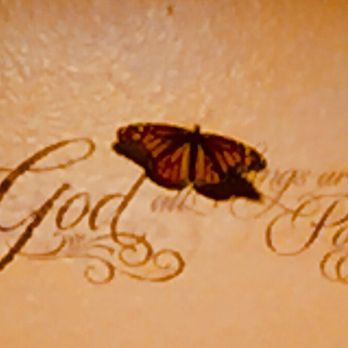 Sharing the Butterfly Experience - Party & Event Planning Near Me Sharing the Butterfly Experience - Party & Event Planning Near Me