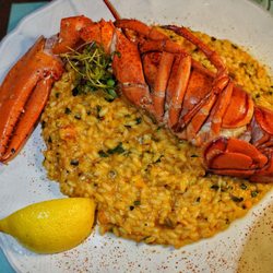 Pescheria - Lobster risotto