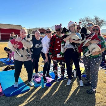 Goat Yoga - Group photo with - Yoga Near Me Goat Yoga - Group photo with - Yoga Near Me
