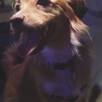 PetSmart - Happy Tinkerbell! - Pet Stores Near Me - Escondido, California PetSmart - Happy Tinkerbell! - Pet Stores Near Me - Escondido, California