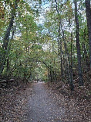 Red Mountain Park by null