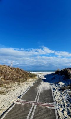 Huntington Beach State Park by null