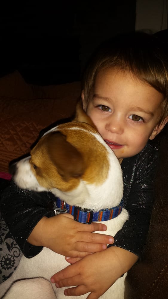 Bluff Creek Stables - equestrian in Midway, GA