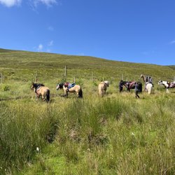 Highlands Unbridled Trail Riding and Trekking centre
