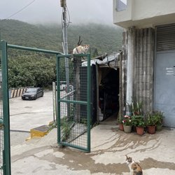 大浪灣泳灘