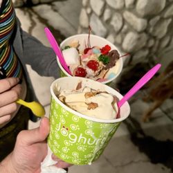 Joghurt Frozen Yogurt Haus
