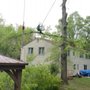 Photo of A General Tree Service