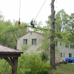 A General Tree Service