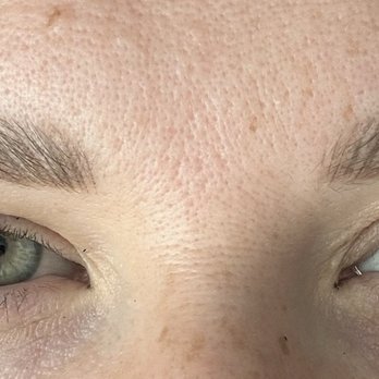 The Blush Brow Studio - Touched up brows with powder & microblading - Permanent Makeup Near Me - Walnut Creek, California The Blush Brow Studio - Touched up brows with powder & microblading - Permanent Makeup Near Me - Walnut Creek, California