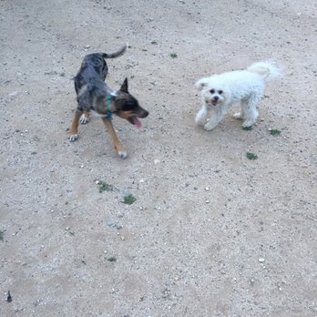 Central Bark - Dog Parks Near Me - Santa Clarita, California Central Bark - Dog Parks Near Me - Santa Clarita, California